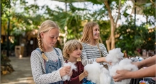 Kids Workshop: Bastele dein eigenes Stofftier in Center Parcs Les Ardennes