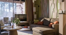 VIP-Ferienhaus BD451 in Center Parcs Le Bois aux Daims