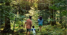 Digitale Nature Discovery in Center Parcs De Huttenheugte