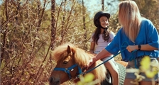 Ponyspaziergang in Center Parcs Het Meerdal