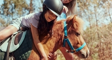 Mein Pony in Center Parcs De Vossemeren