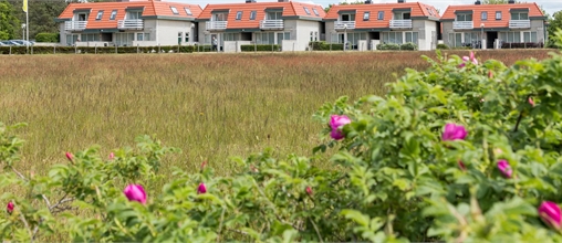 Landal Bosch en Zee