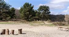 Umgebung Einrichtungen in Summio Parcs De Bloemert