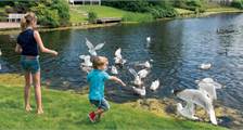Kinder Einrichtungen in Landal Beach Park Texel