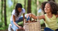 Kinder Einrichtungen in Darwin Forest