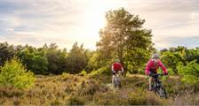 Wandern und Radfahren Einrichtungen in Landal Hunerwold State