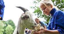Kinder Einrichtungen in Landal Miggelenberg