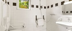 12-Personen-Ferienhaus, Barrierefrei+ 12BT in Landal Orveltermarke