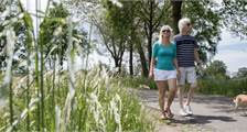 Wandern und Radfahren Einrichtungen in Landal Twenhaarsveld