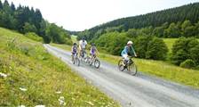 Wandern und Radfahren Aktivitäten in Landal Winterberg