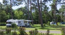 Wohnmobilplatz 2567389 in Oostappen Boschbeek