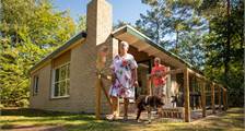 Ferienhaus Hunde pluto in RCN De Noordster